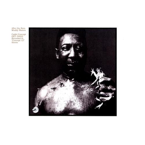 Muddy Waters After the Rain (LP)